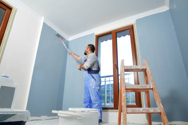 Professional Painting in Northlake, IL